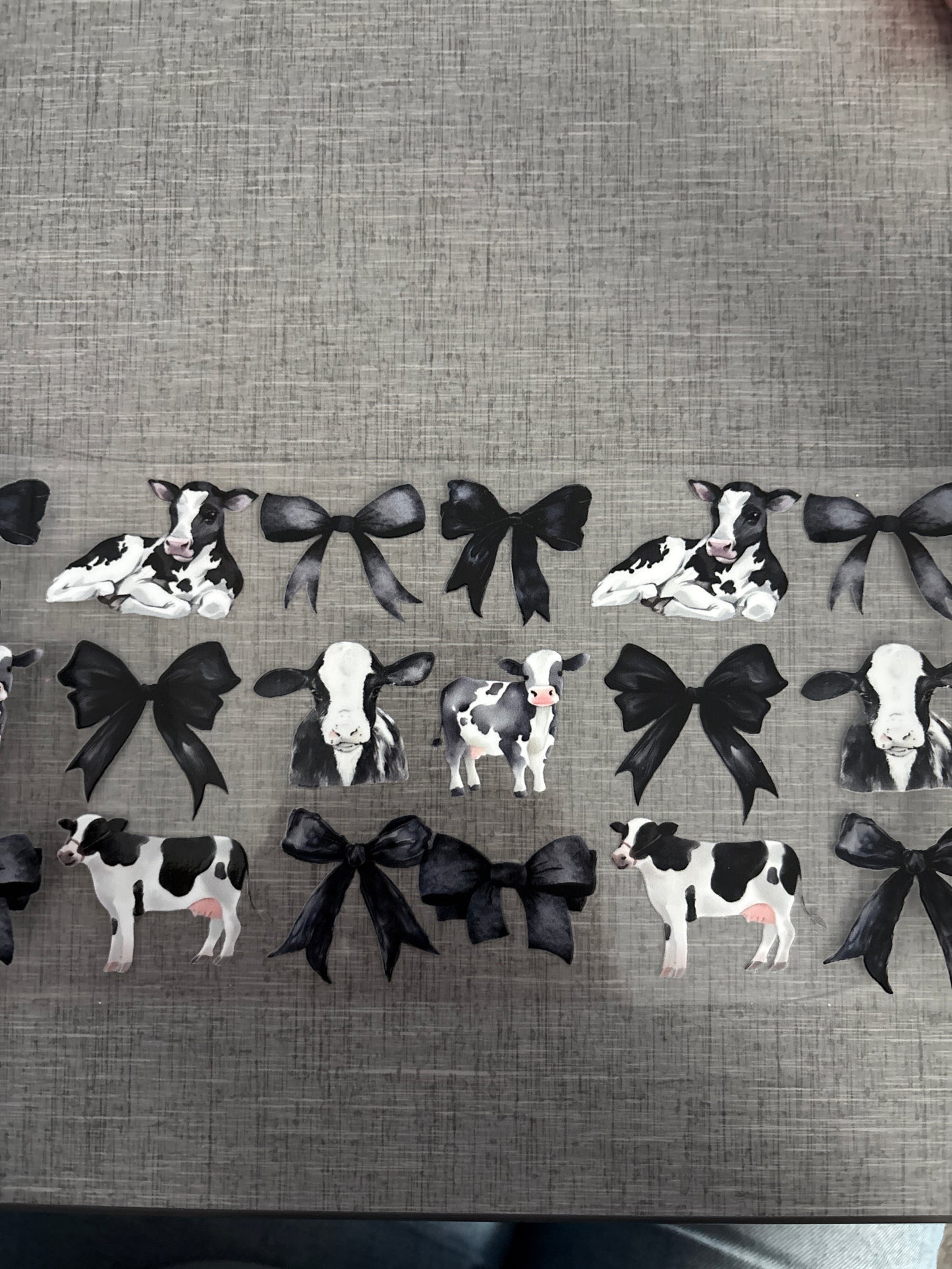 Cows & bows