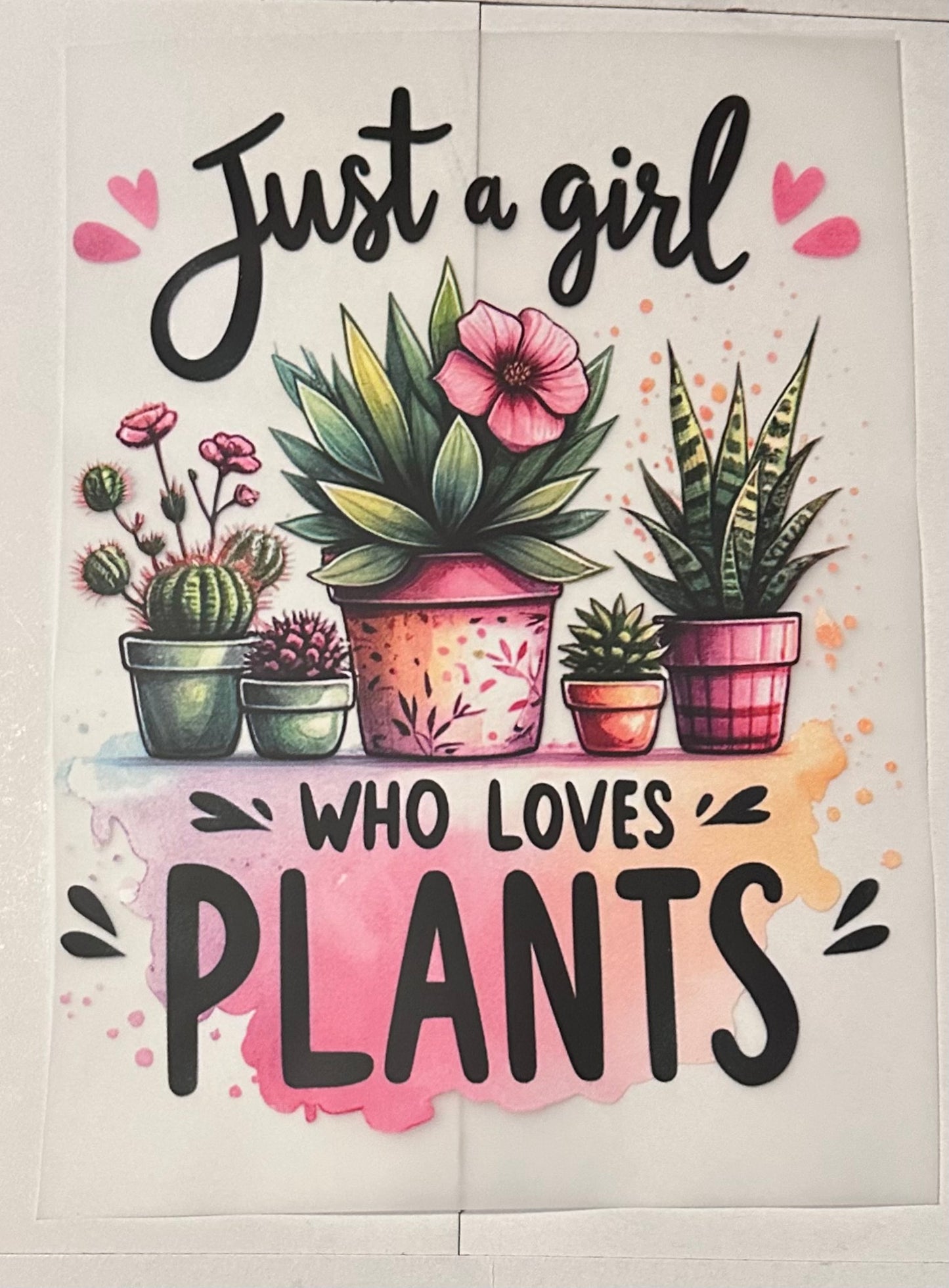 Just a girl who loves plants