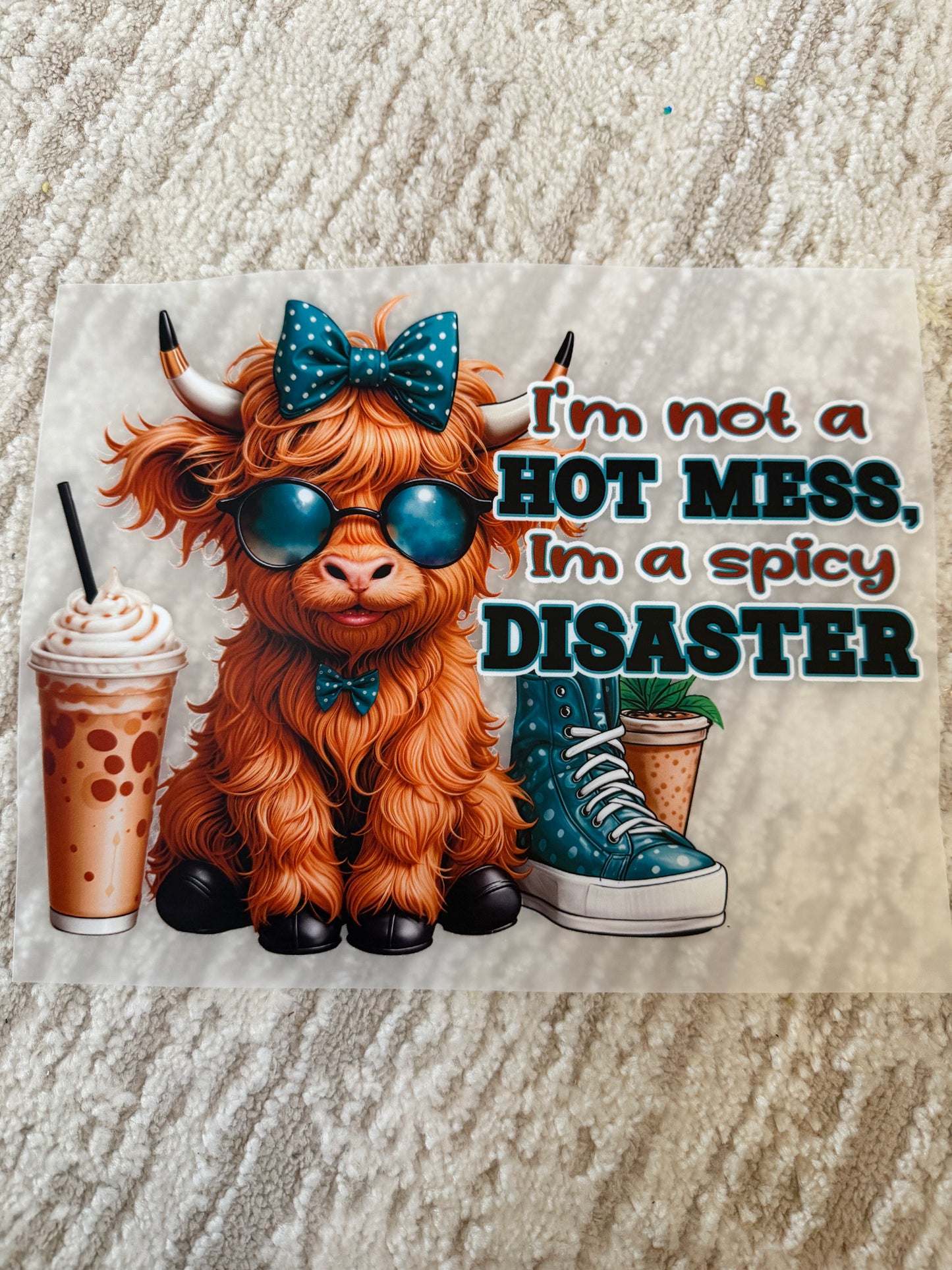 Im not a hot mess, im a spicy disaster