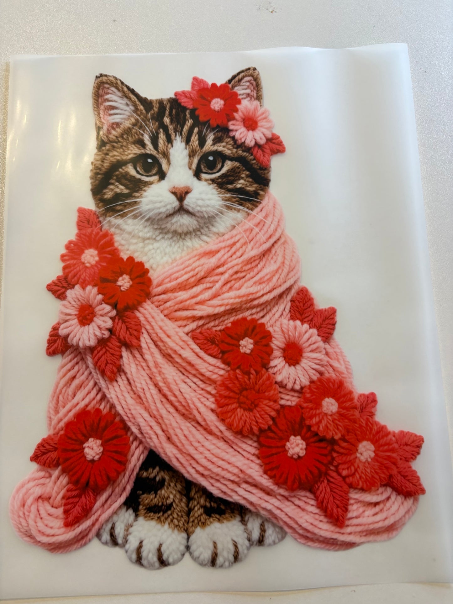 Cat 2