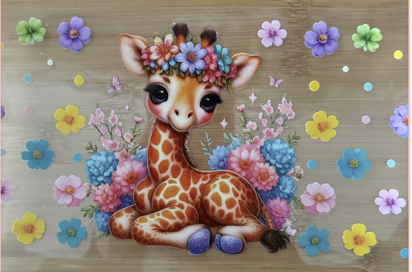 Baby Giraffe