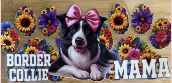 Border Collie Mama