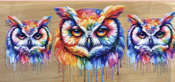 Colorful Owls