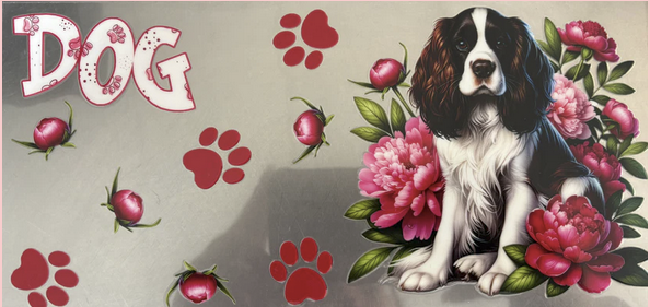English Springer Spaniel