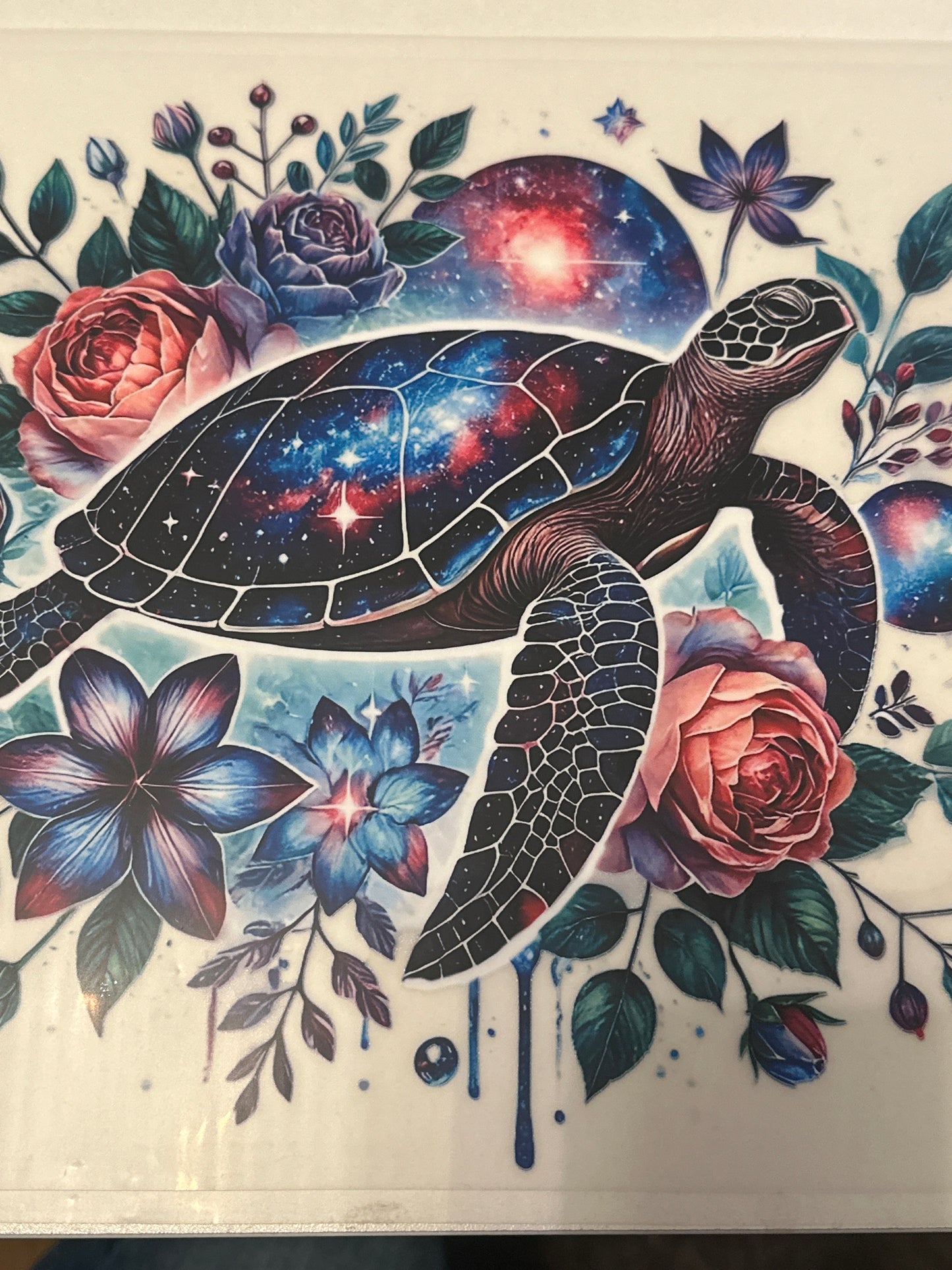 Turtle