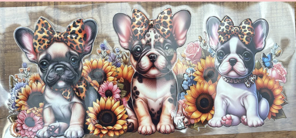 Frenchies with Sunflowers
