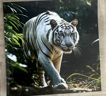 White Tiger 2