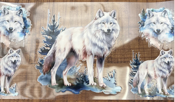 Wolves 6