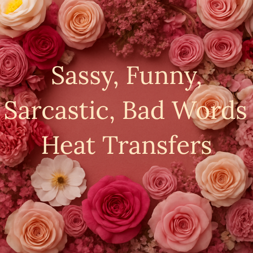 Sassy/Funny/Sarcastic/Bad Words Heat Transfers