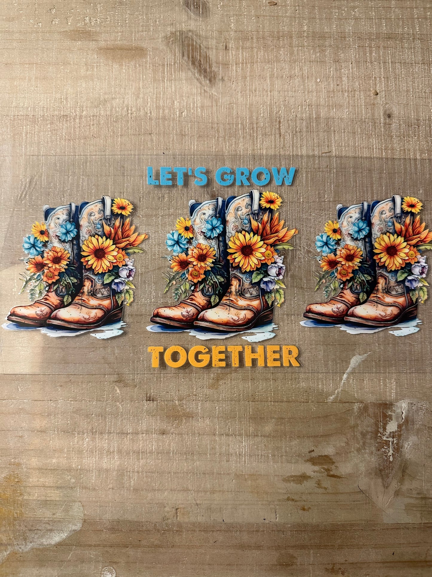 Other (Music/Cowboy/Other)