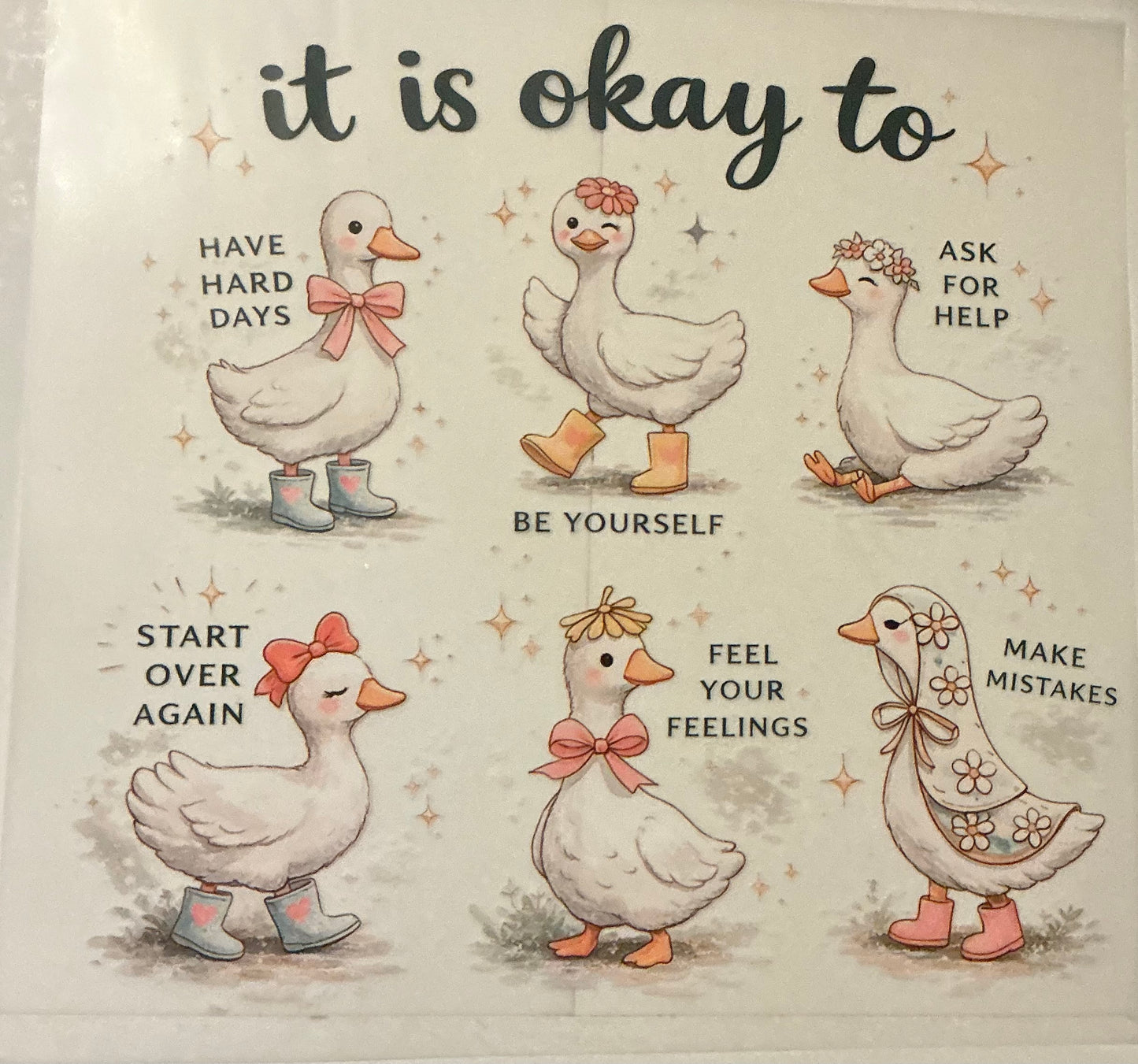 It is okay to geese