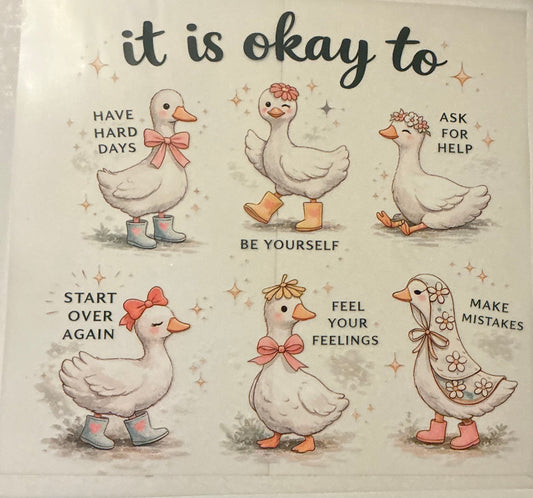 It is okay to geese