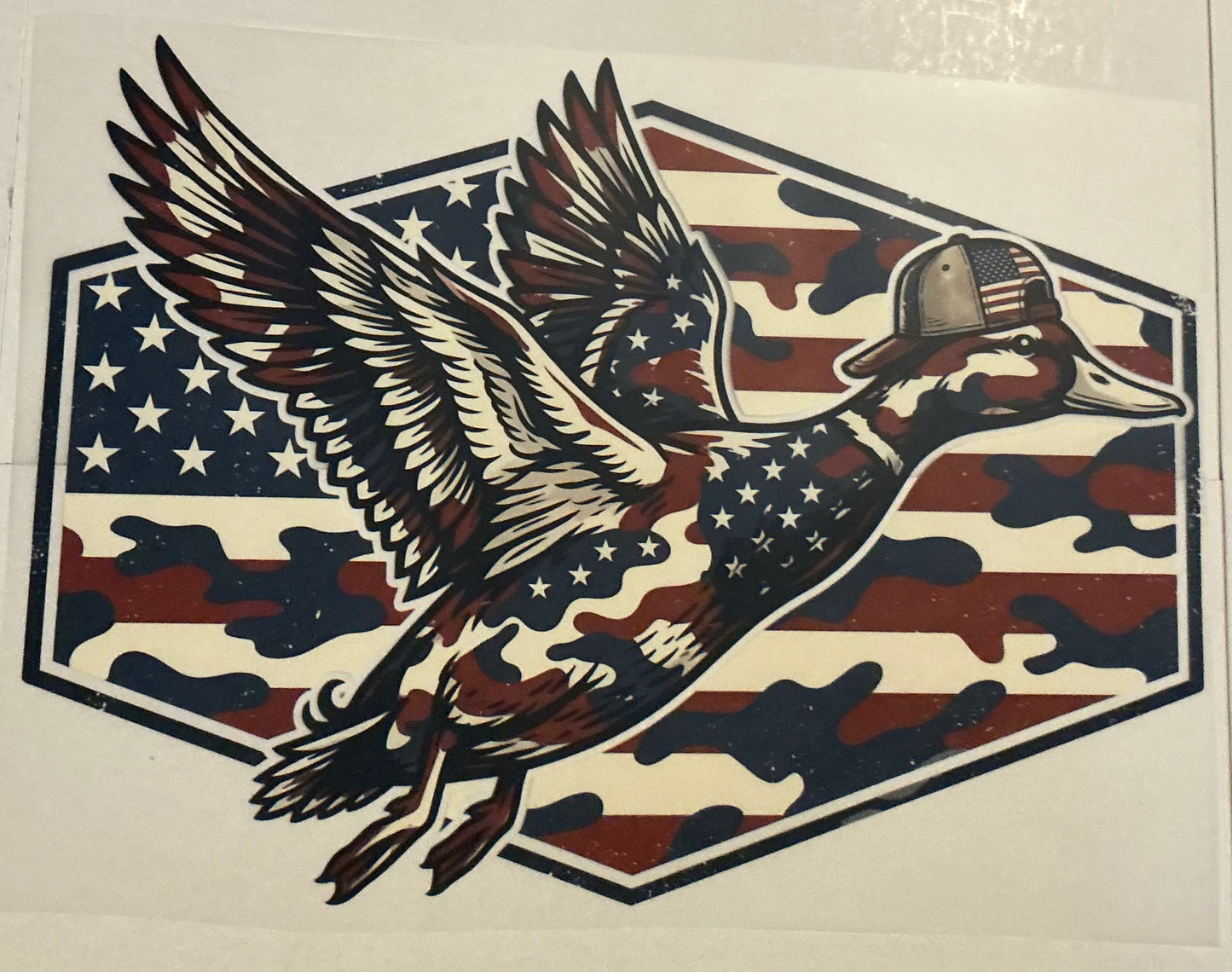 America duck