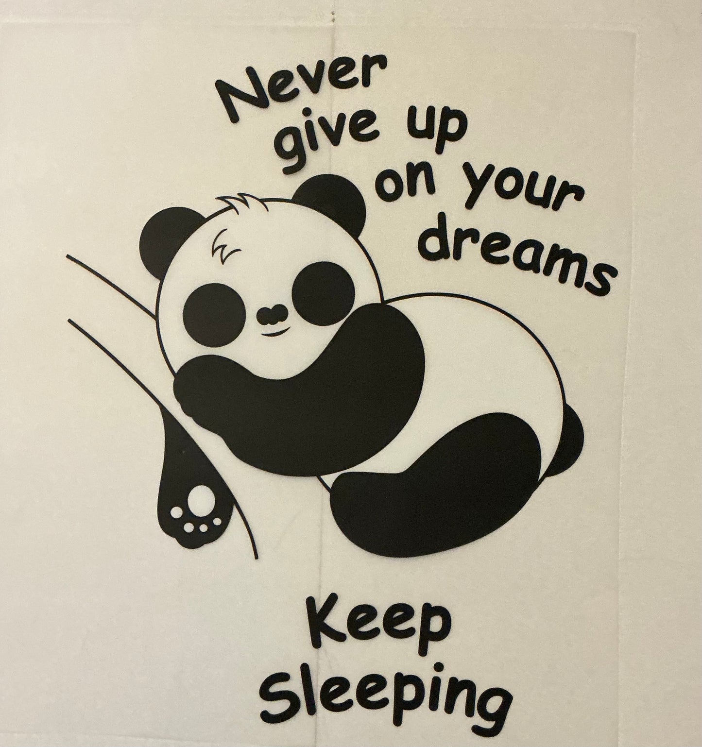 Never give up on your dreams panda
