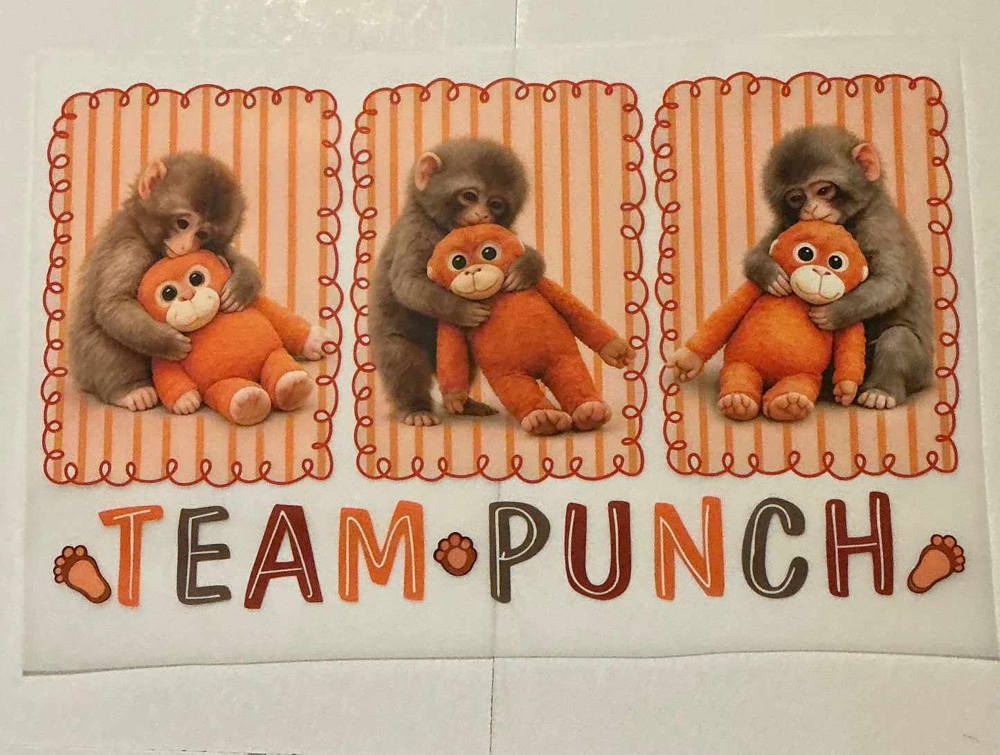 Team Punch