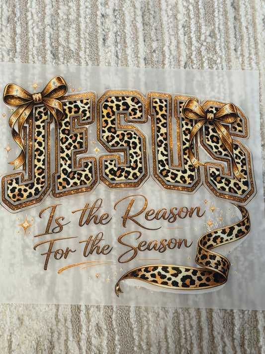 Jesus is the Reason