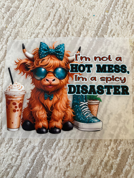 Im not a hot mess, im a spicy disaster