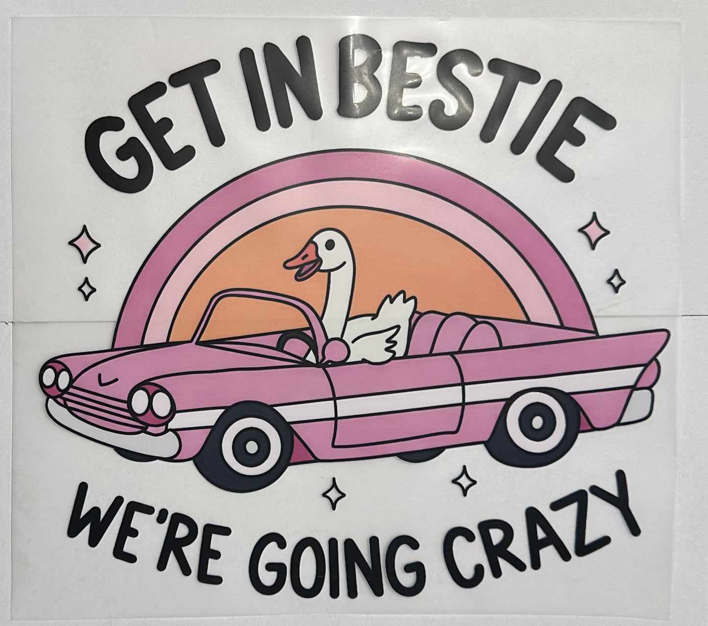 Get in bestie we’re going crazy goose