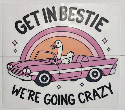 Get in bestie we’re going crazy goose