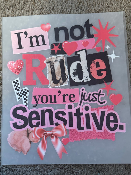 I'm not rude you're just sensitive