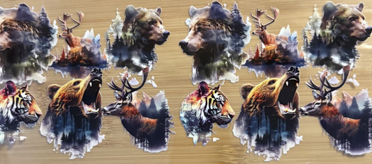 Bears, Deer and Tigers