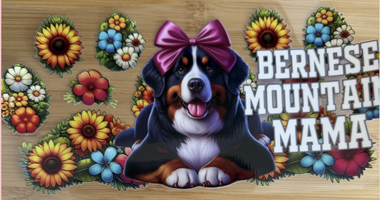 Bernese Mountain Dog Mama