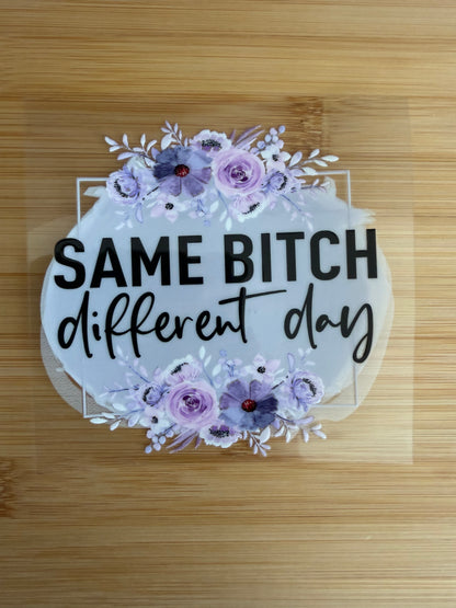 Other (Music/Cowboy/Other)