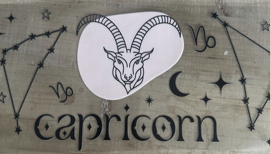 Capricorn 2 Constellation
