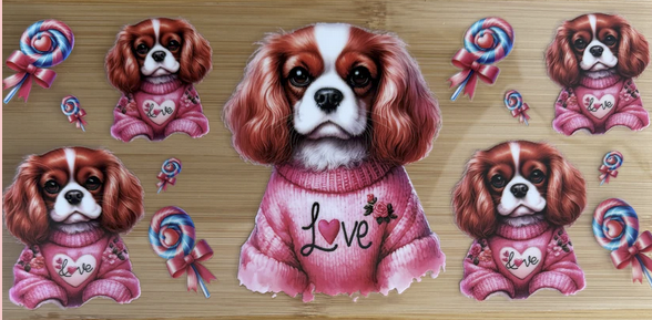 Cocker Spaniel