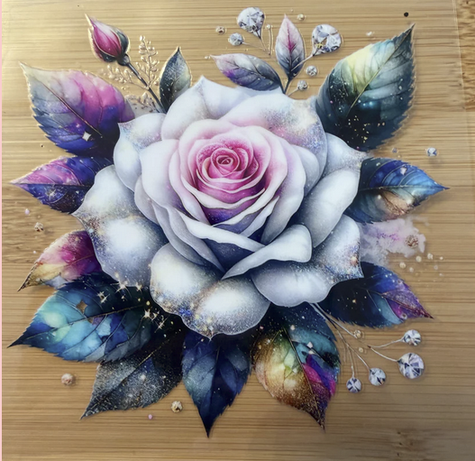 Large Colorful Rose