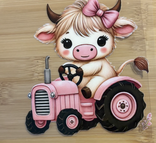 Cute Cow on Tractor