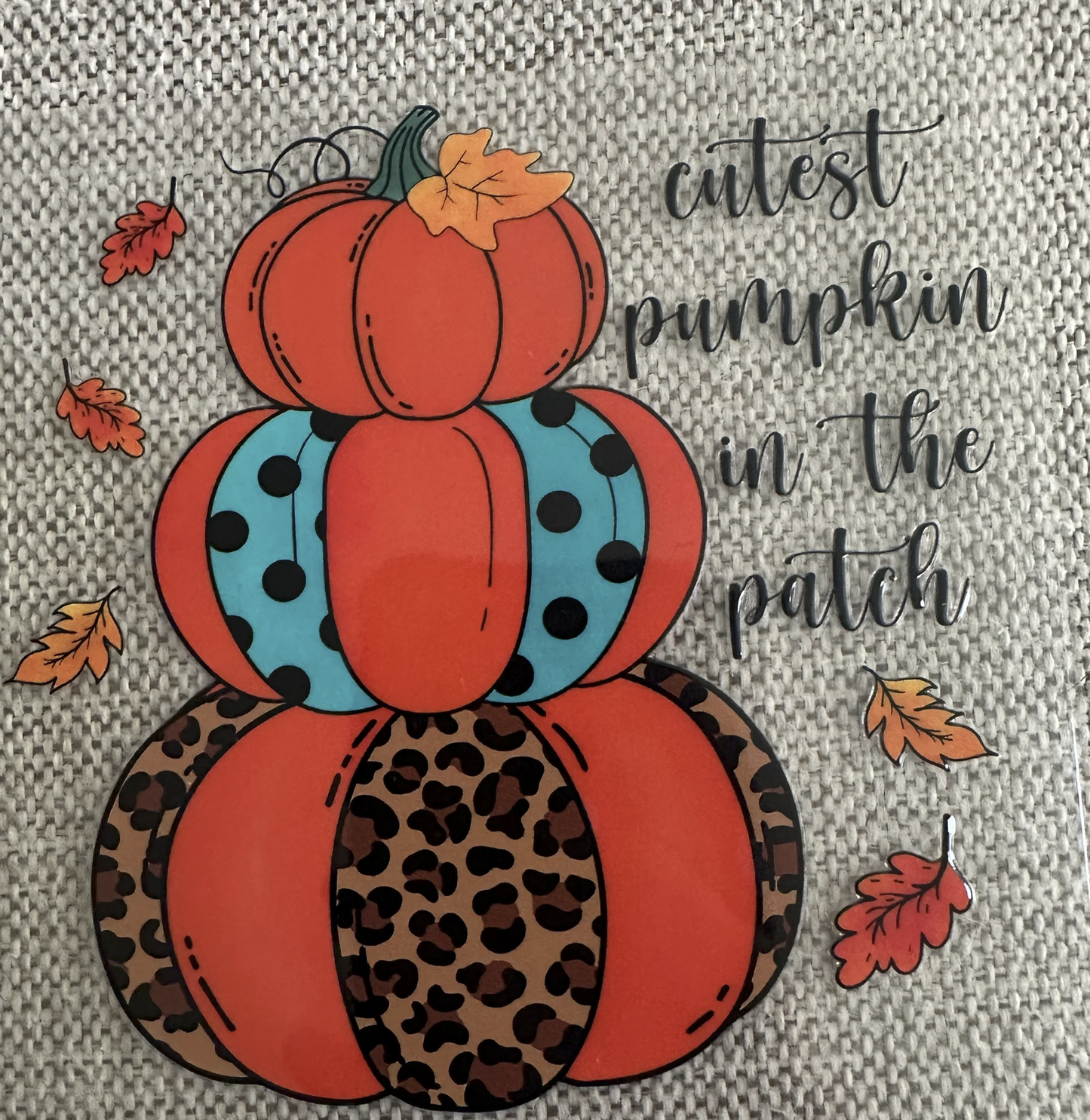 Cutest Pumpkin in the Patch