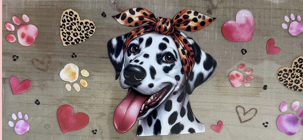 Dalmation