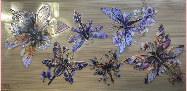 Dragonflies 2