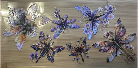 Dragonflies 2
