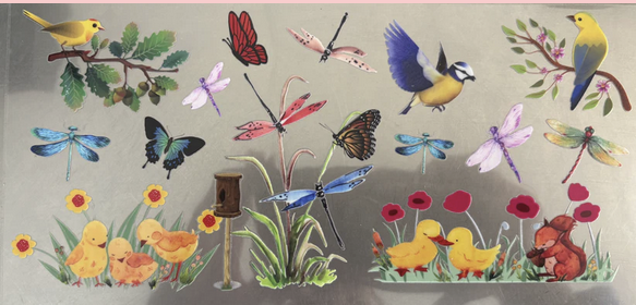 Dragonflies & Butterflies