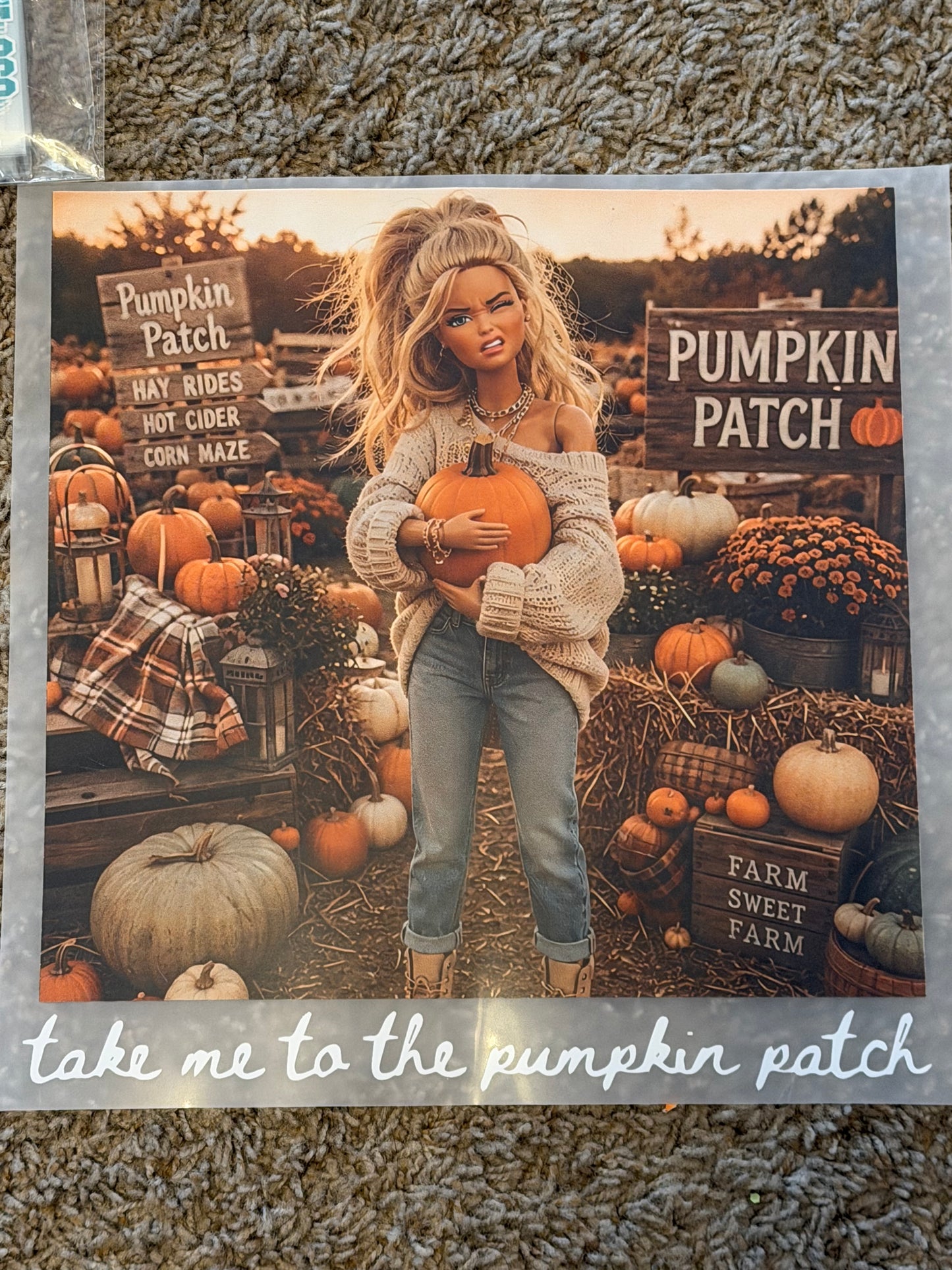 Pumpkin Patch Crash out