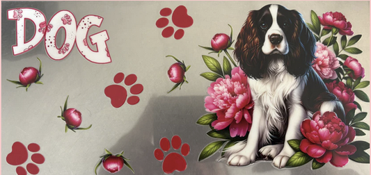 English Springer Spaniel