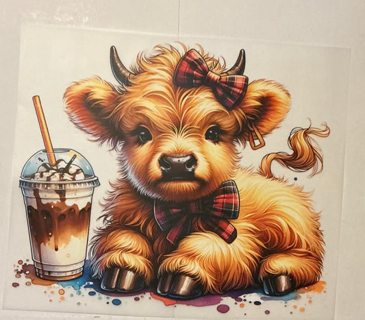 Coffee cow