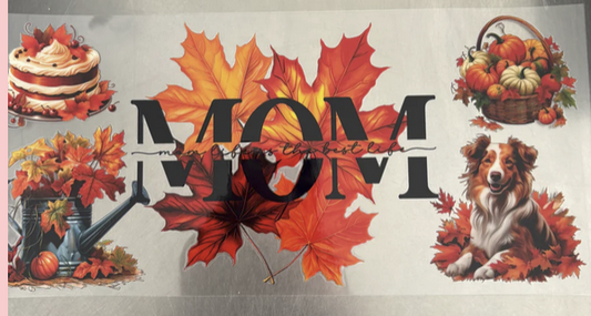 Fall Mom 3