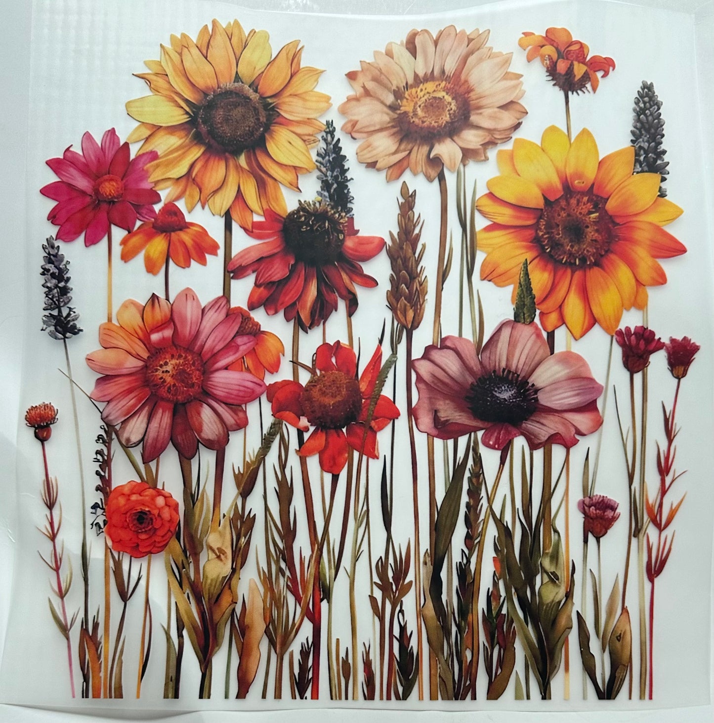 Pretty flowers