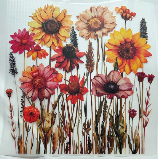 Pretty flowers