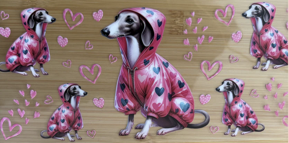 Greyhound