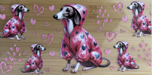 Greyhound