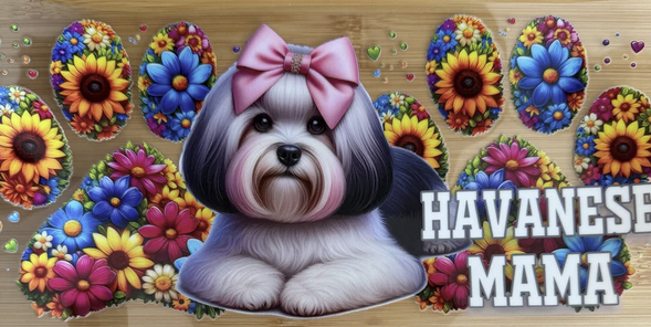 Havanese Mama