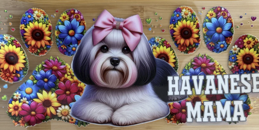 Havanese Mama