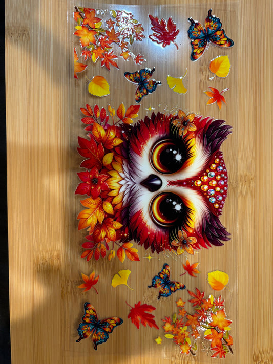 fall owl