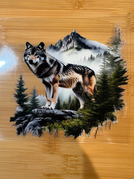 wolf
