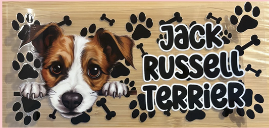 Jack Russell Terrier