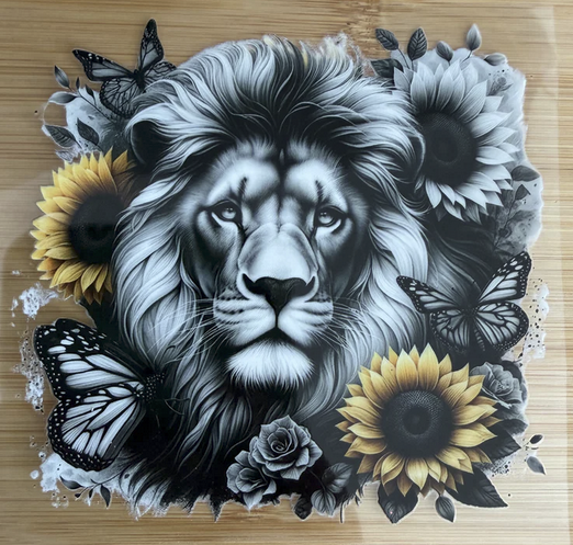 Lion 1